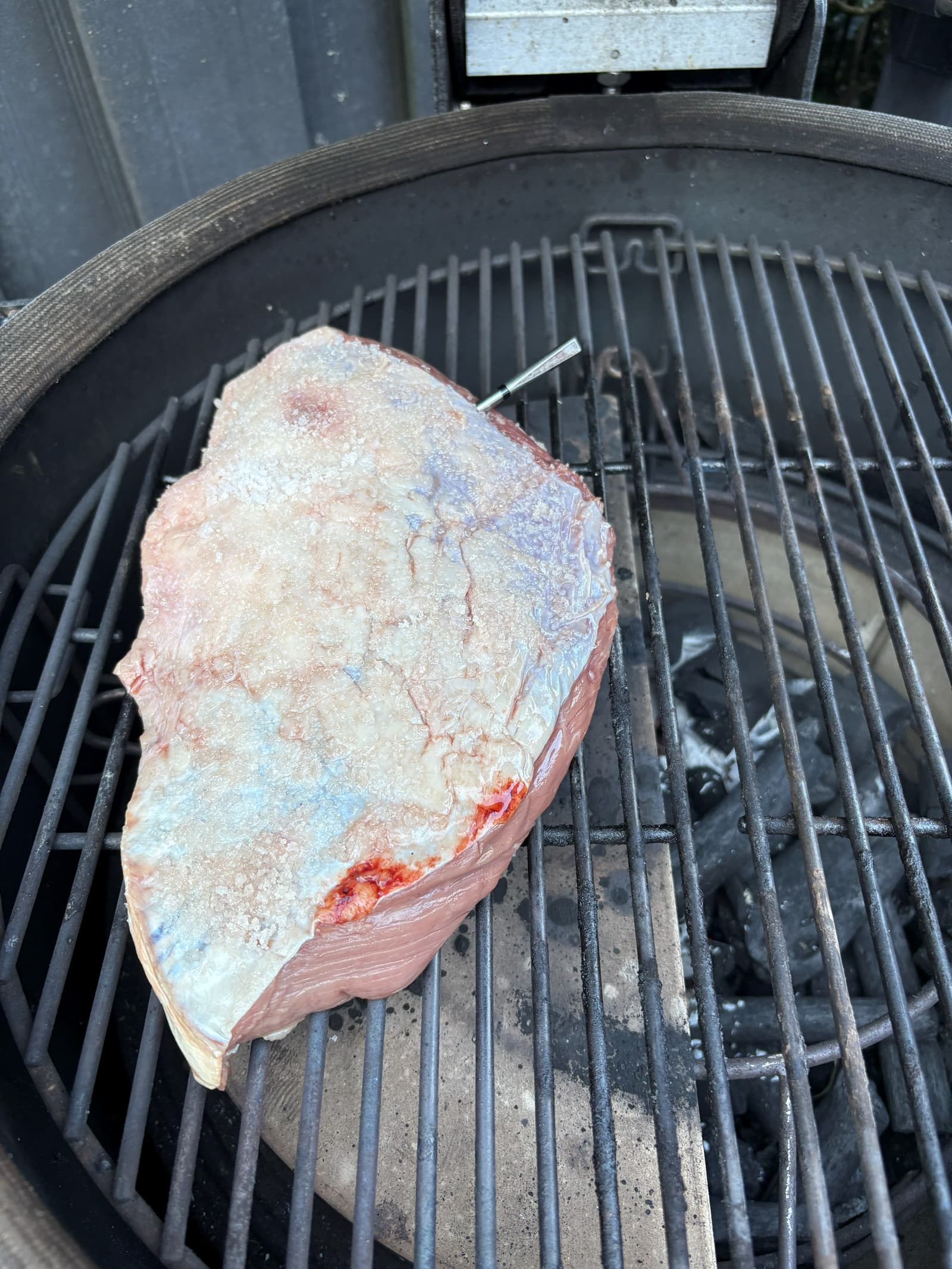 Picanha van de BBQ